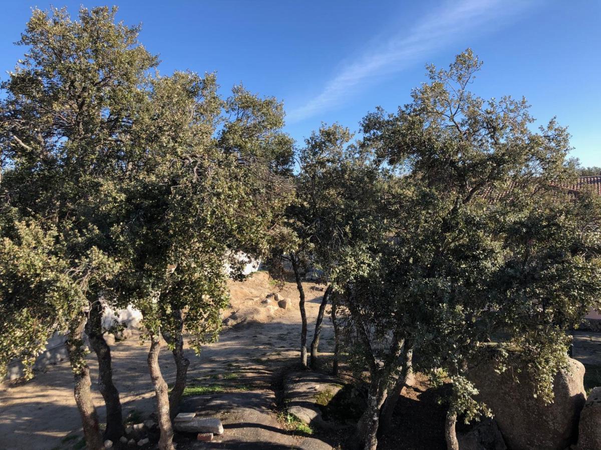Finca El Olivo Ituero y Lama المظهر الخارجي الصورة